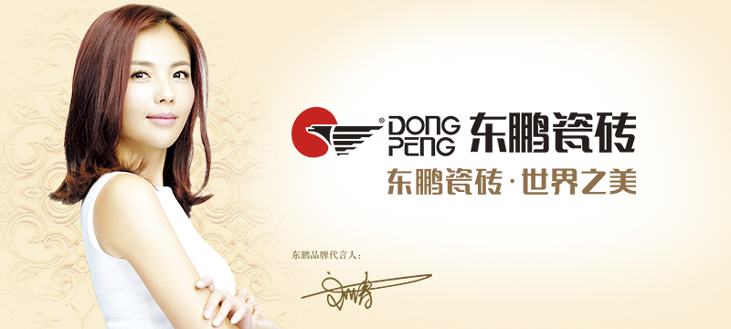 東鵬官方網(wǎng)站設(shè)計(jì)